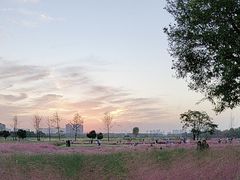 -汉长安城未央宫国家考古遗址公园