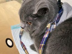 -爱侣宠医·鹦鹉专科·小型哺乳类·异宠专科(灵石路店)