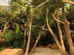 -南通洲际绿博园