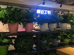 -超级物种(省府店)
