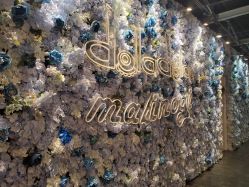 -doladola(徐家汇店)