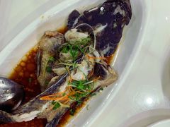 -南海渔家•海鲜•正宗海南菜(海棠湾店)
