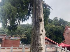 -灵光寺
