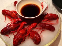 -红盔甲·小龙虾(天钥桥店)