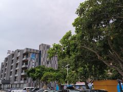 -海角城白海豚浪漫海滩