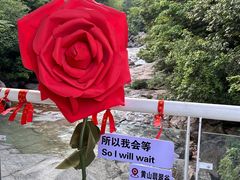 -黄山翡翠谷景区