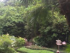 -汇雅温泉