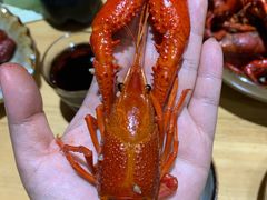 -馒少爷私房菜馆·龙虾