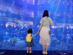 -成都浩海立方海洋公园