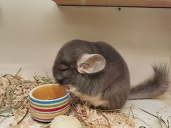 -龙猫仔乐园(惠福东路店)