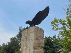 -北京鹫峰国家森林公园