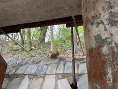 -宝通禅寺