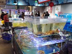 水产区-盒马鲜生(悠方店)