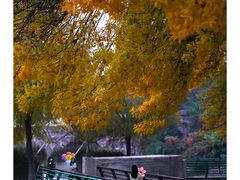 -石家庄市植物园