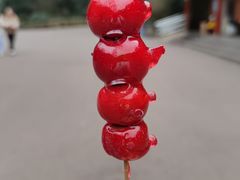 -黔灵山公园