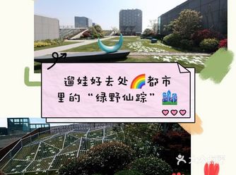 遛娃好去处都市空中的绿野仙踪