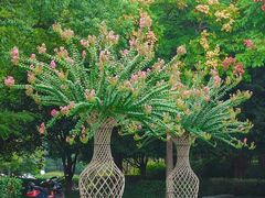 -杭州城北体育公园