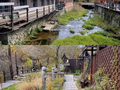 -Local泰莲庭(虹鳟鱼店)