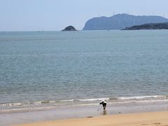 -大京沙滩