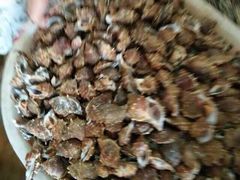 -浪琴湾尾角仔海鲜坊