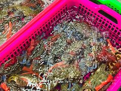 -众味海鲜大排档·活海鲜·潮汕味(南澳店)