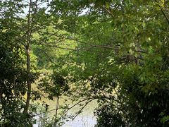 -盘龙城国家考古遗址公园