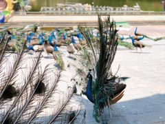 -半坡九号老挝冰咖啡