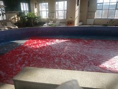 -哈尔滨太平湖温泉酒店