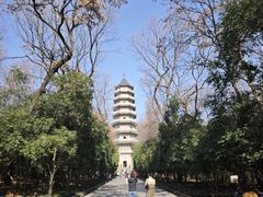 -灵谷景区