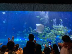 -华夏文旅海洋公园