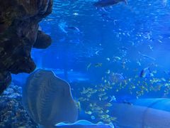 -太平洋海底世界