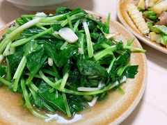 -天全县三土司椒麻鸡餐厅