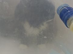 -联合动物医院(光谷诊疗中心)