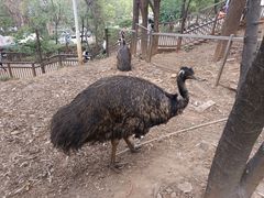 -昆明动物园