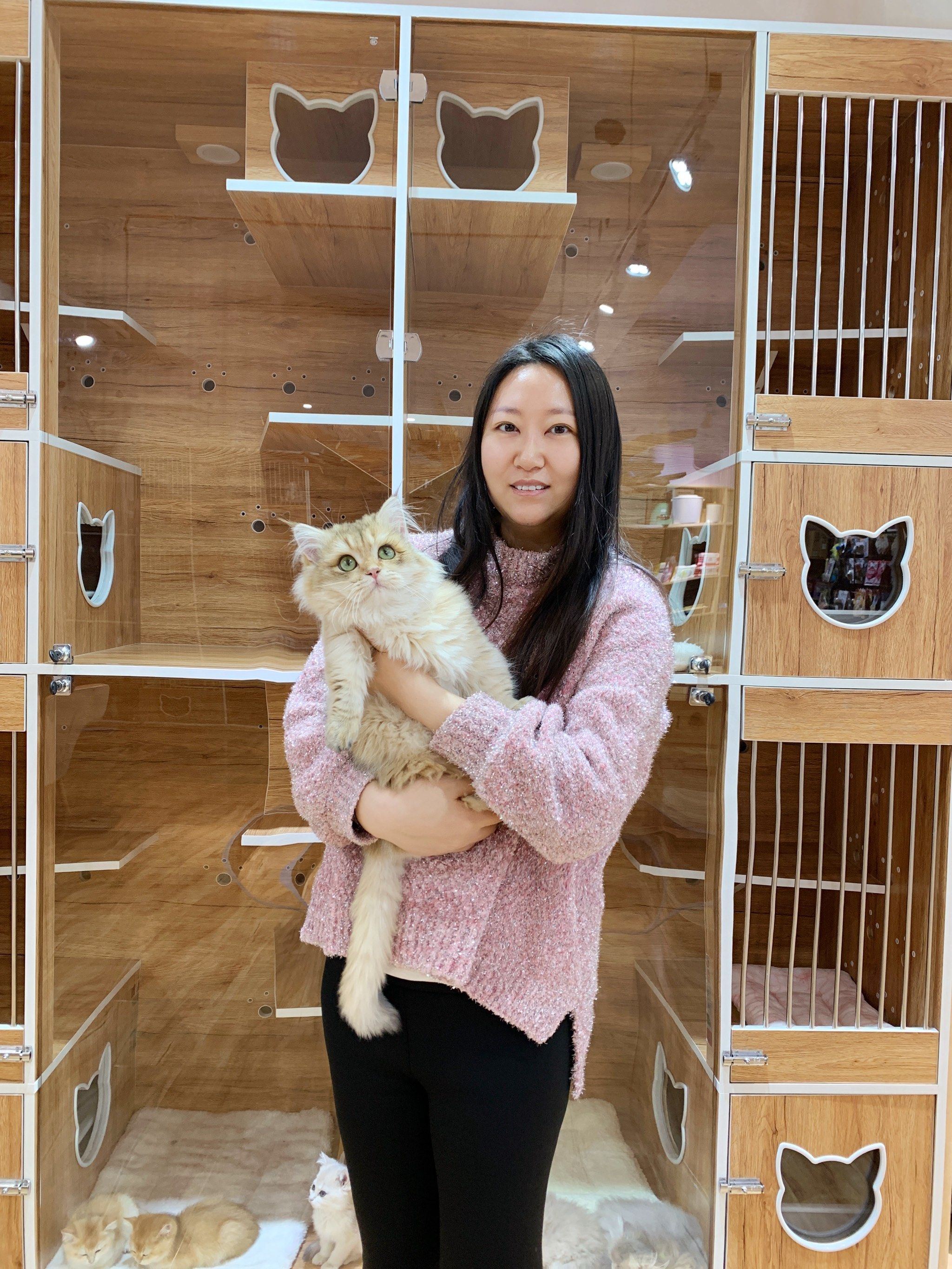 救命,它好像知道自己很可爱!
家里的