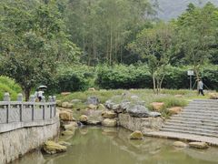 -黄埔油麻山森林公园