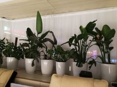 -谷悦SPA(王府井店)