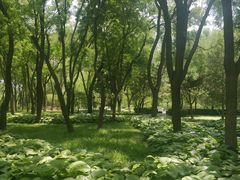 -玲珑塔公园