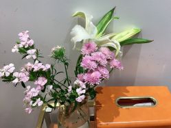 -YESIDO椰岛造型