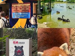 -合肥野生动物园