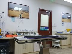 -美联众合动物医院·24h转诊中心