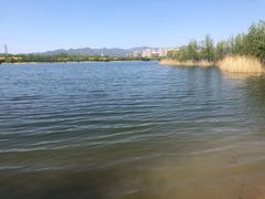 -永定河休闲森林公园