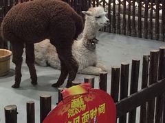 开元商场(西旺店)-开元商城(西旺店)