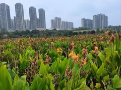 -那考河湿地公园