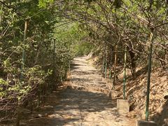 -北京鹫峰国家森林公园