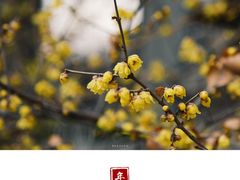 -山东师范大学(千佛山校区)