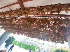 -桥香园云南过桥米线(金马碧鸡店)