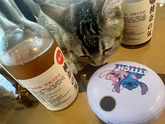 -共舞时光猫咖·狗咖(新街口店)