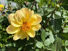 -丽江泸沽湖景区