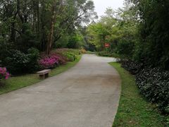 -广州莲花山旅游区